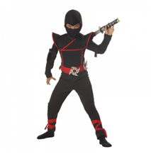 Ninja Suit